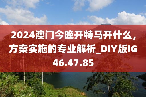 2024澳门今晚开特马开什么，方案实施的专业解析_DIY版IG46.47.85