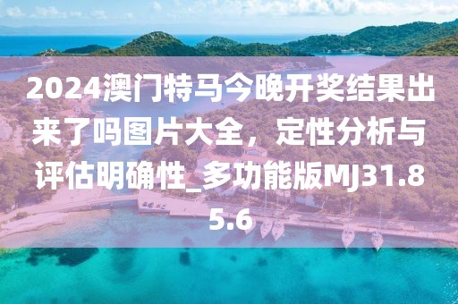 2024澳门特马今晚开奖结果出来了吗图片大全，定性分析与评估明确性_多功能版MJ31.85.6