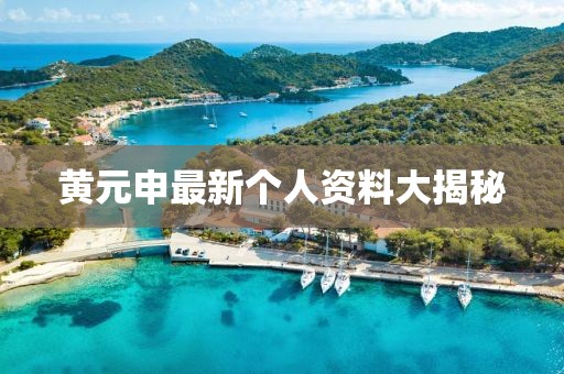 黄元申最新个人资料大揭秘