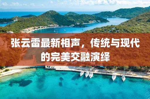 张云雷最新相声，传统与现代的完美交融演绎