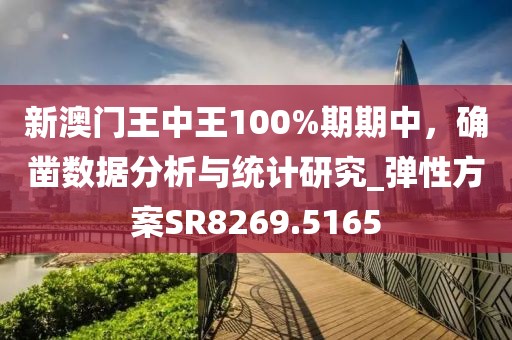 新澳门王中王100%期期中，确凿数据分析与统计研究_弹性方案SR8269.5165