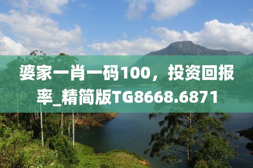 婆家一肖一码100，投资回报率_精简版TG8668.6871