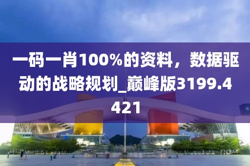一码一肖100%的资料，数据驱动的战略规划_巅峰版3199.4421