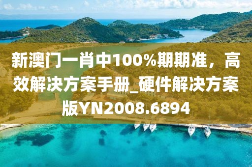 新澳门一肖中100%期期准，高效解决方案手册_硬件解决方案版YN2008.6894