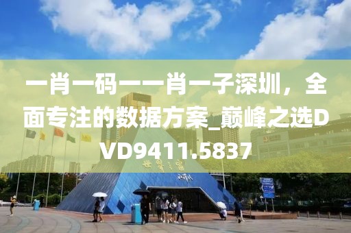 一肖一码一一肖一子深圳，全面专注的数据方案_巅峰之选DVD9411.5837