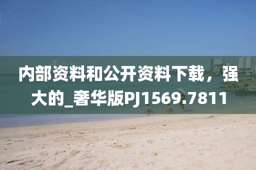 内部资料和公开资料下载，强大的_奢华版PJ1569.7811