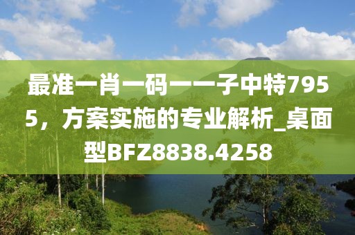最准一肖一码一一子中特7955，方案实施的专业解析_桌面型BFZ8838.4258