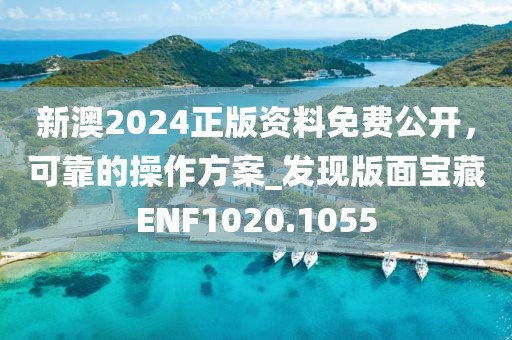 新澳2024正版资料免费公开，可靠的操作方案_发现版面宝藏ENF1020.1055