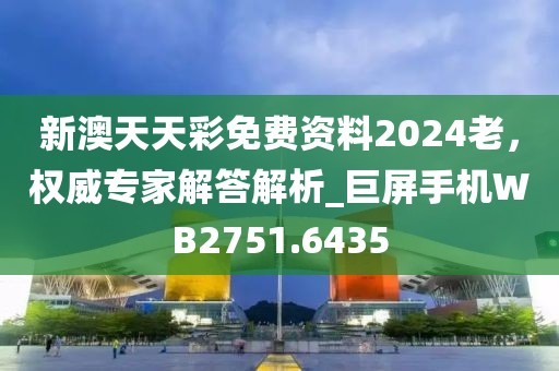 新澳天天彩免费资料2024老，权威专家解答解析_巨屏手机WB2751.6435