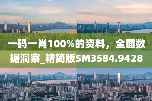 一码一肖100%的资料，全面数据洞察_精简版SM3584.9428