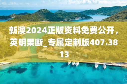 新澳2024正版资料免费公开，英明果断_专属定制版407.3813