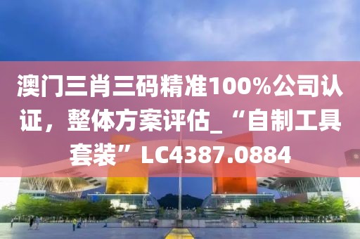 澳门三肖三码精准100%公司认证，整体方案评估_“自制工具套装”LC4387.0884