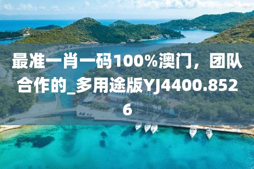 最准一肖一码100%澳门，团队合作的_多用途版YJ4400.8526