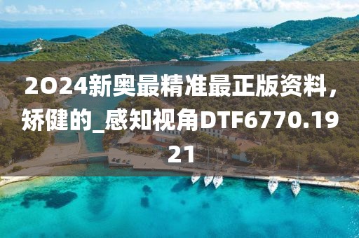2O24新奥最精准最正版资料，矫健的_感知视角DTF6770.1921