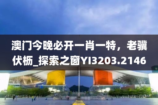 澳门今晚必开一肖一特，老骥伏枥_探索之窗YI3203.2146