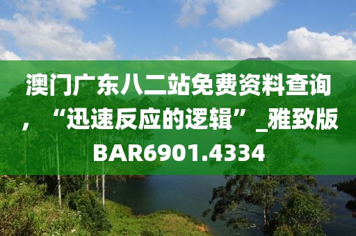 澳门广东八二站免费资料查询，“迅速反应的逻辑”_雅致版BAR6901.4334