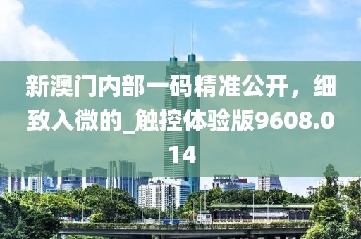 新澳门内部一码精准公开，细致入微的_触控体验版9608.014