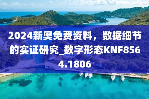 2024新奥免费资料，数据细节的实证研究_数字形态KNF8564.1806