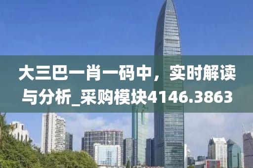 大三巴一肖一码中，实时解读与分析_采购模块4146.3863