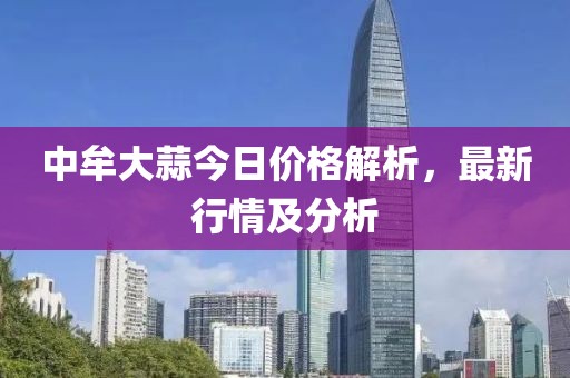 中牟大蒜今日价格解析，最新行情及分析