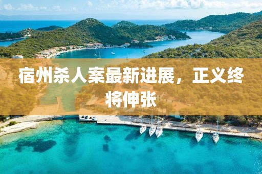 宿州杀人案最新进展，正义终将伸张