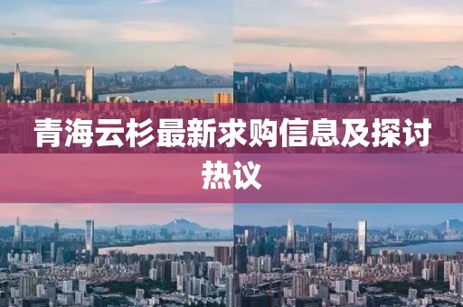青海云杉最新求购信息及探讨热议