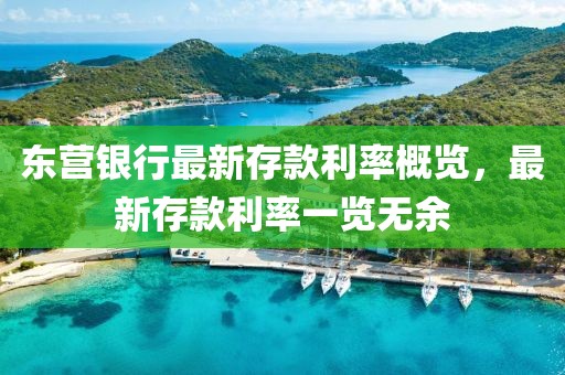 东营银行最新存款利率概览，最新存款利率一览无余