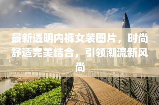 最新透明内裤女装图片，时尚舒适完美结合，引领潮流新风尚