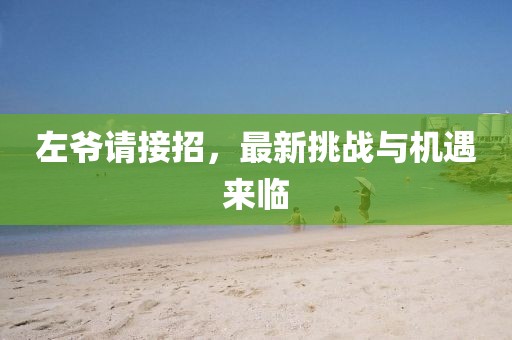 左爷请接招，最新挑战与机遇来临
