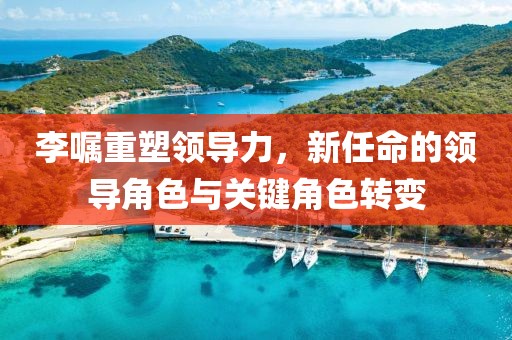 李嘱重塑领导力，新任命的领导角色与关键角色转变