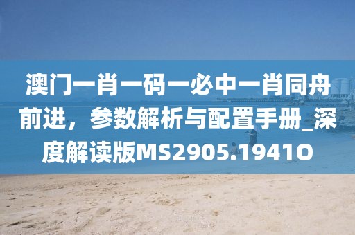澳门一肖一码一必中一肖同舟前进，参数解析与配置手册_深度解读版MS2905.1941O