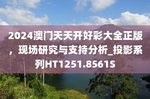 2024澳门天天开好彩大全正版，现场研究与支持分析_投影系列HT1251.8561S