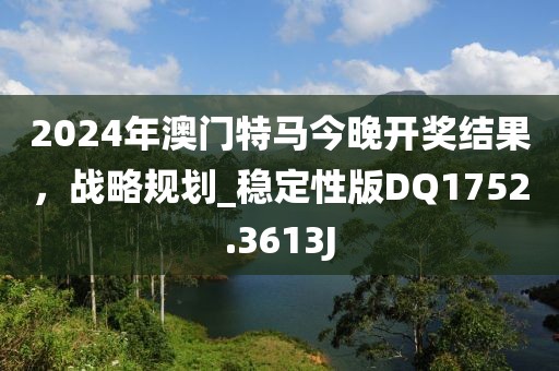 2024年澳门特马今晚开奖结果，战略规划_稳定性版DQ1752.3613J