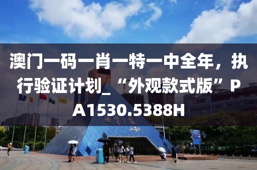 澳门一码一肖一特一中全年，执行验证计划_“外观款式版”PA1530.5388H