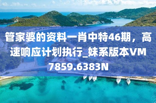 管家婆的资料一肖中特46期，高速响应计划执行_妹系版本VM7859.6383N