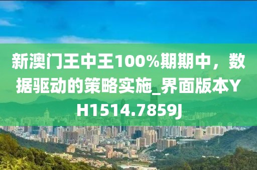 新澳门王中王100%期期中，数据驱动的策略实施_界面版本YH1514.7859J