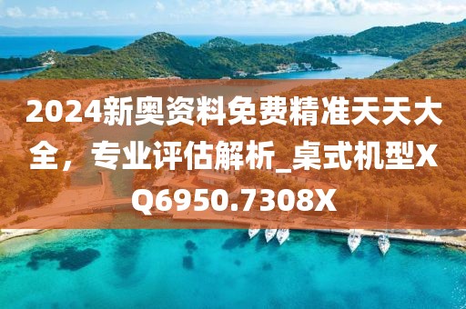 2024新奥资料免费精准天天大全，专业评估解析_桌式机型XQ6950.7308X
