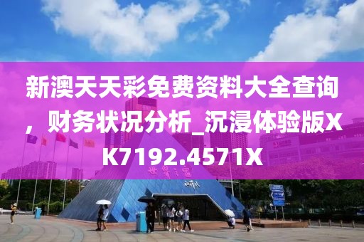 新澳天天彩免费资料大全查询，财务状况分析_沉浸体验版XK7192.4571X