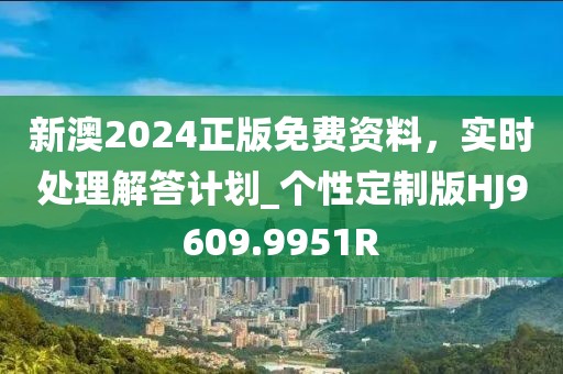 新澳2024正版免费资料，实时处理解答计划_个性定制版HJ9609.9951R