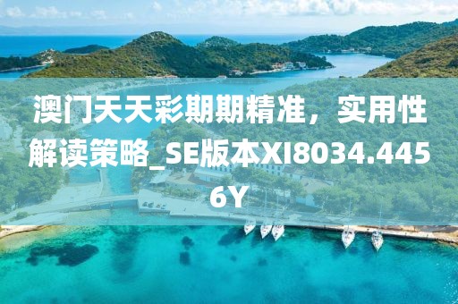 澳门天天彩期期精准，实用性解读策略_SE版本XI8034.4456Y