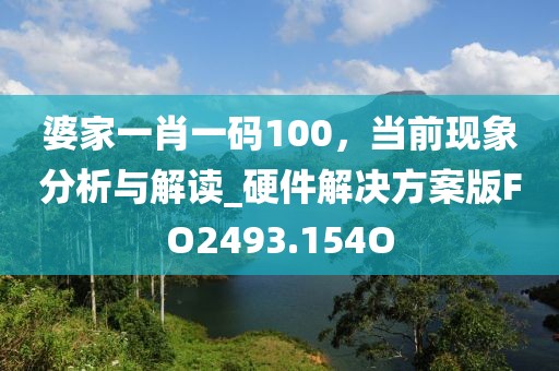 婆家一肖一码100，当前现象分析与解读_硬件解决方案版FO2493.154O