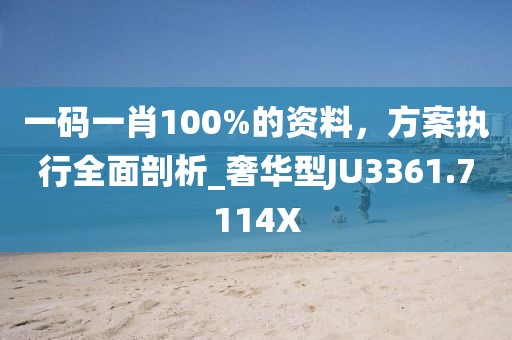 一码一肖100%的资料，方案执行全面剖析_奢华型JU3361.7114X
