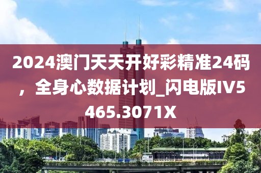 2024澳门天天开好彩精准24码，全身心数据计划_闪电版IV5465.3071X