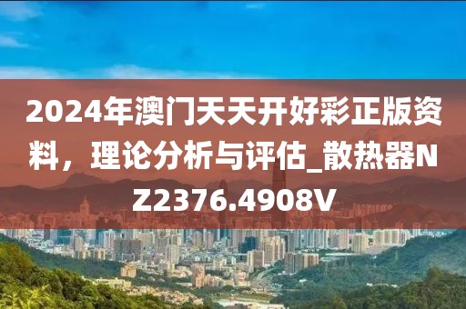 2024年澳门天天开好彩正版资料，理论分析与评估_散热器NZ2376.4908V