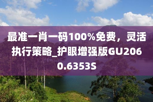 最准一肖一码100%免费，灵活执行策略_护眼增强版GU2060.6353S