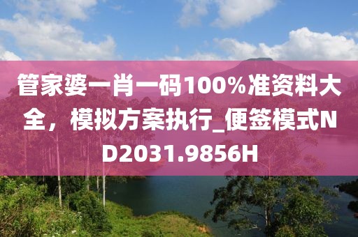 管家婆一肖一码100%准资料大全，模拟方案执行_便签模式ND2031.9856H