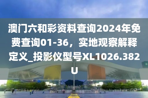澳门六和彩资料查询2024年免费查询01-36，实地观察解释定义_投影仪型号XL1026.382U