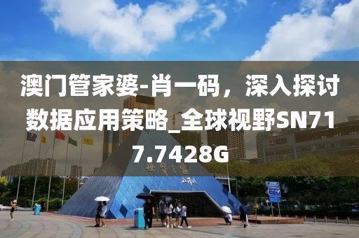 澳门管家婆-肖一码，深入探讨数据应用策略_全球视野SN717.7428G