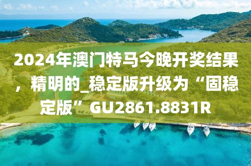2024年澳门特马今晚开奖结果，精明的_稳定版升级为“固稳定版”GU2861.8831R