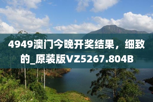 4949澳门今晚开奖结果，细致的_原装版VZ5267.804B